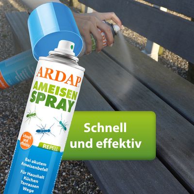 ARDAP Ameisenspray, schnell und effektiv. Bei akutem Ameisenbefall für Haushalt, Küchen, Terrassen und Wege.