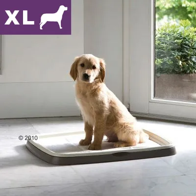 XL-kokoinen koiran sisäkäymälä, vaaleanruskea pentu istuu alustalla. Vasemmassa yläkulmassa violetti laatikko, jossa valkoinen XL-teksti ja koiran siluetti.