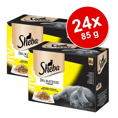 Sheba Delikatesse in Gelee, 24 x 85 g. Widoczne dwa opakowania z wizerunkiem kota i talerzem karmy. Na czerwonym kole napis: 24x 85 g. Sheba Delikatesse in Gelee, 24 x 85 g. Widoczne dwa opakowania z wizerunkiem kota i talerzem karmy. Na czerwonym kole napis: 24x 85 g.