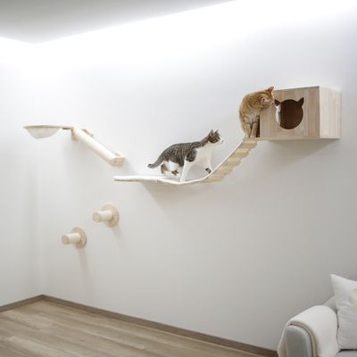 Wall-mounted climbing and play system made of wood with bridge, platforms and cave. Two cats demonstrate use of the system.