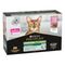 PURINA PRO PLAN Cat Sterilised Maintenance Sparpaket: Lachs & Thunfisch (36 x 85 g)