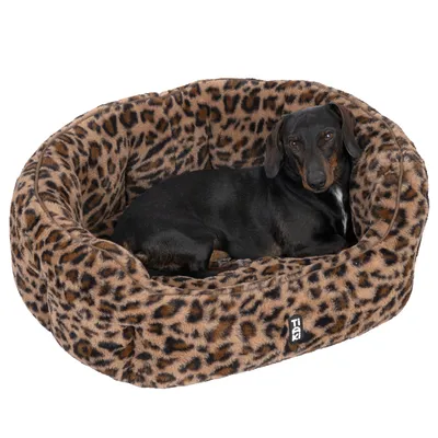 Panier pour chien en tissu à motif léopard, avec un teckel noir allongé à l'intérieur. Étiquette visible avec le texte 'TOM'.