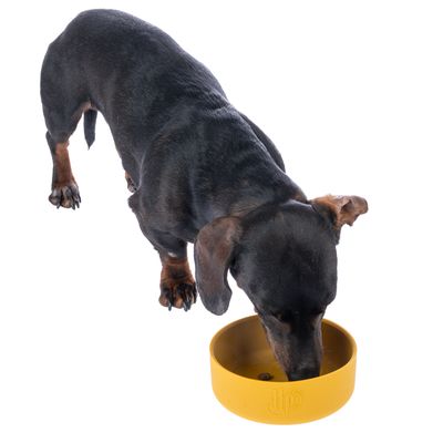 Hund äter ur en gul matskål med präglad logotyp. Visar produktanvändning.