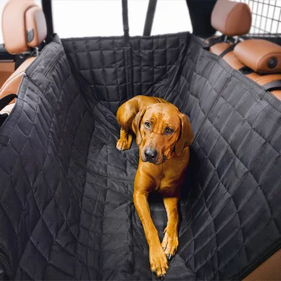 Schwarze, gesteppte Autoschondecke auf Rücksitz mit Hund darauf. Schutzdecke für Autositze mit Befestigungsgurten sichtbar. Schwarze, gesteppte Autoschondecke auf Rücksitz mit Hund darauf. Schutzdecke für Autositze mit Befestigungsgurten sichtbar.