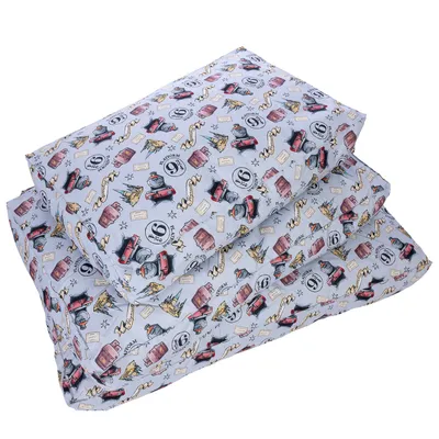 Deux coussins rectangulaires empilés avec housse à motifs Harry Potter : train, valises, lettres, logo '9 3/4'. Motifs multicolores sur fond clair. Matière textile visible.