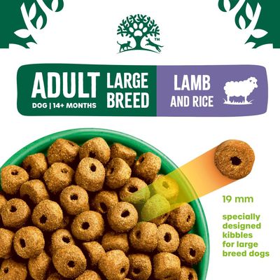 ADULT LARGE BREED DOG 14+ MONTHS, LAMB AND RICE, 19 mm, specially developed kibble for large dog breeds