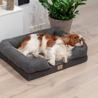 Hond ligt op een grijs hondenbed met gewatteerde randen. Houten label met opschrift 'Pet Comfort' zichtbaar.