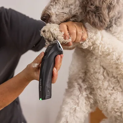Schermaschine WAHL® Arco Pro - Schermaschine inkl. Scherkopf