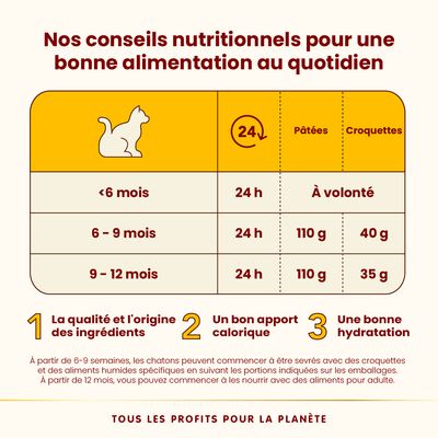 Conseils d’alimentation chaton : <6 mois 24 h pâtées, croquettes à volonté ; 6–9 mois 24 h pâtées 110 g, croquettes 40 g ; 9–12 mois 24 h pâtées 110 g, croquettes 35 g.