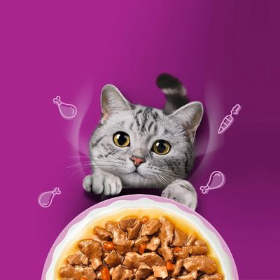 Whiskas Aromatic Selection vegyes csomag szószban