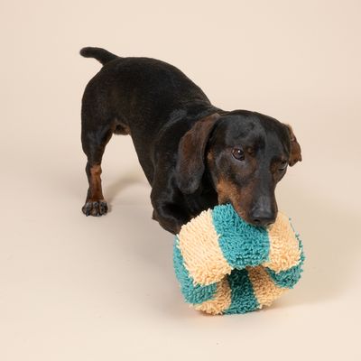 Pes si hraje se žluto-tyrkysovým pruhovaným plyšovým míčem. Produkt ukazuje použití psí hračky.