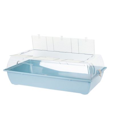 Smådjursbur med blå plastbotten, transparent lock och metallgaller för ventilation.