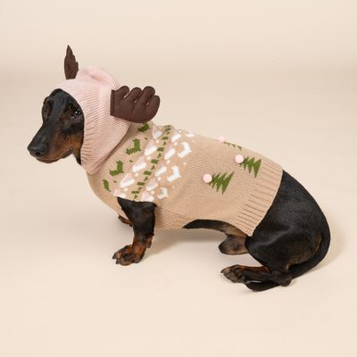TIAKI Rentier-Pullover für Hunde