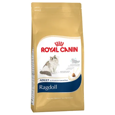 Vrećica hrane za mačke Royal Canin Ragdoll Adult, vidljiv naziv brenda i proizvod, ilustracija ragdoll mačke, natpis 'Feline Breed Nutrition', tekst na engleskom jeziku.