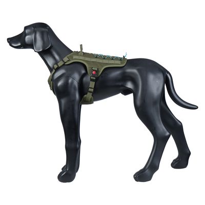 Figura di cane modello nera con pettorina verde oliva, cinghie regolabili e lacci elastici sulla schiena.