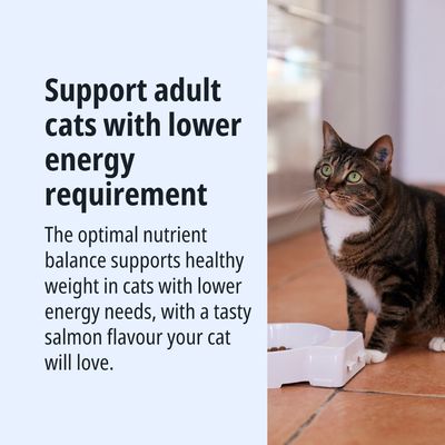 Descrizione del prodotto: Supporta i gatti adulti con un basso fabbisogno energetico. Equilibrio ottimale dei nutrienti per un peso sano e un gustoso sapore di salmone.