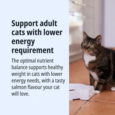 Descrizione del prodotto: Supporta i gatti adulti con un basso fabbisogno energetico. Equilibrio ottimale dei nutrienti per un peso sano e un gustoso sapore di salmone. Descrizione del prodotto: Supporta i gatti adulti con un basso fabbisogno energetico. Equilibrio ottimale dei nutrienti per un peso sano e un gustoso sapore di salmone.