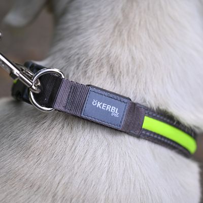 Collier pour chien en nylon gris avec bande jaune fluo, mousqueton métallique et étiquette visible : KERBL pet.