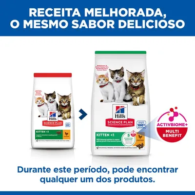 Hill's Science Plan Kitten frango ração para gatinhos - 1,5 kg