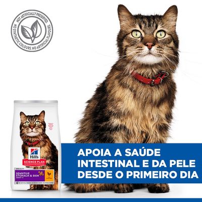 Hill's Science Plan Sensitive Stomach & Skin Adult 1+ com frango. Apoia a digestão e promove um pelo bonito. Sem conservantes, corantes ou aromas artificiais.