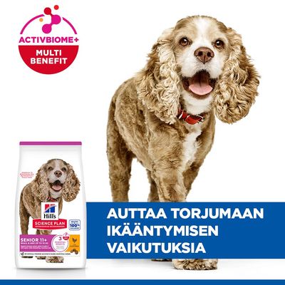Hill's Science Plan Senior 11+ Small & Mini kana - säästöpakkaus: 2 x 1,5 kg