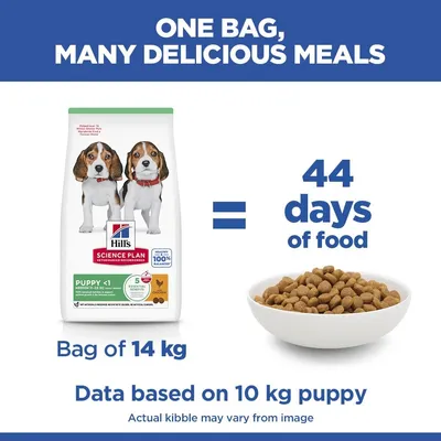 Hill's Science Plan Puppy <1 Medium с курицей - 6 кг