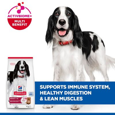 Hill's Science Plan Adult 1-6 Medium bárány & rizs - 14 kg
