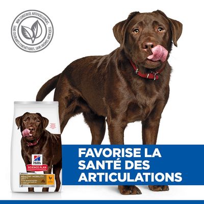 Hill's Science Plan Adult 1+ Healthy Mobility Large poulet pour chien