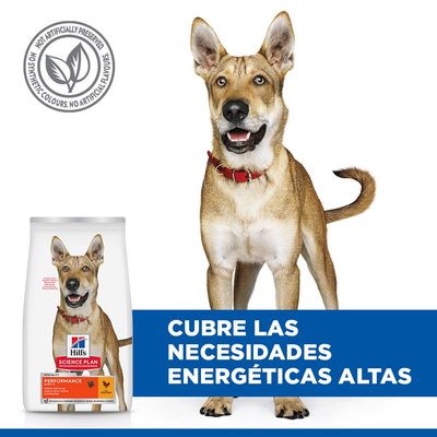 Hill's Science Plan Performance Adult 1+ pollo