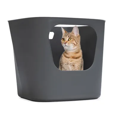 Graue Katzentoilette mit rechteckiger Öffnung, Katze sitzt innen und schaut nach rechts.