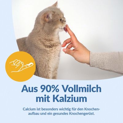 GimCat Pudding pour chat - fromage (100 g)
