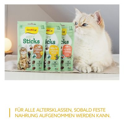 GimCat Mini Sticks v troch príchutiach: moriak a syr, kuracie s mačacou mätou, losos a quinoa. Pre všetky vekové kategórie od prijímania pevnej stravy.