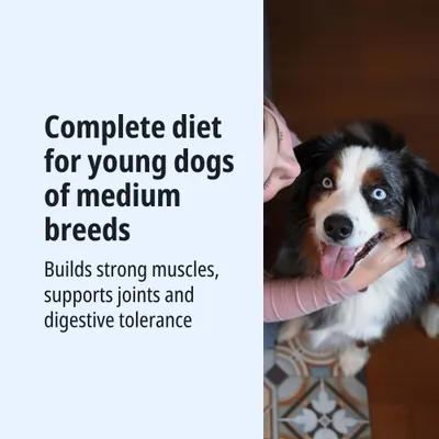 Complete nutrition for young dogs of medium-sized breeds. Promotes strong muscles, supports joints and digestive tolerance.