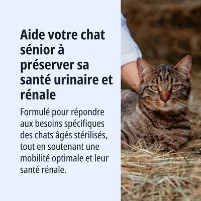 Virbac Veterinary HPM Senior Neutered Cat - 3 kg