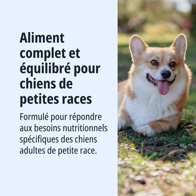 Aliment complet et équilibré pour les petites races de chiens, formulé pour répondre aux besoins nutritionnels spécifiques des chiens adultes de petites races.