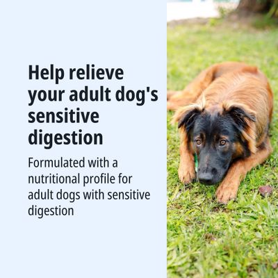 Helps adult dogs with sensitive digestion. Nutritional profile specially formulated for dogs with sensitive digestion.
