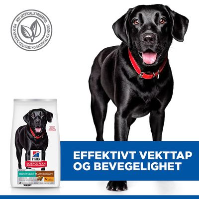 Hill's Science Plan Perfect Weight & Active Mobility Adult 1+ Large med kylling