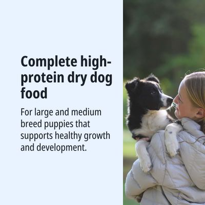 Complete, protein-rich dry food for large and medium-sized puppies, supports healthy growth and development.