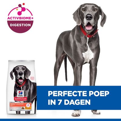 Hill's Science Plan Perfect Digestion Adult Large met Kip & Zilvervliesrijst
