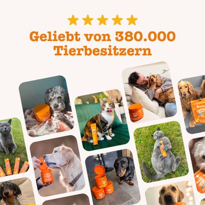 Fünf Sterne und Text: Geliebt von 380.000 Tierbesitzern, mit Bildern von Hunden und Katzen neben orangefarbenen Produkten.