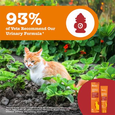 El 93% de los veterinarios recomienda nuestra Fórmula Urinary. Imagen de un gato en el jardín y foto del producto Urinary & Renal Care Paste para gatos.