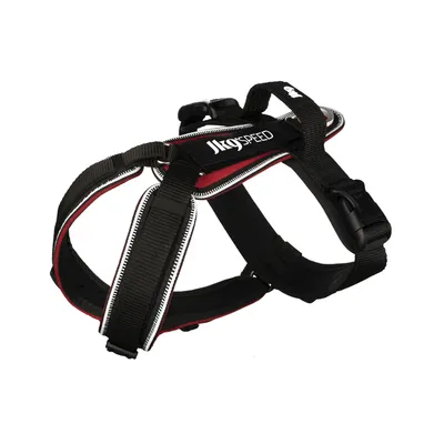 Julius-K9 Speed Hundegeschirr, rot - Größe M: Brustumfang 53 - 74 cm Julius-K9 Speed Hundegeschirr, rot - Größe M: Brustumfang 53 - 74 cm