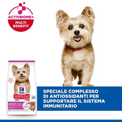 Hill's Science Plan Adult 1-6 Small & Mini con Agnello & Riso - 6 kg