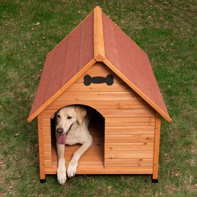 Hund i trähundkoja med rött tak och svart benformad dekoration ovanför ingången. Kojan står på gräs.