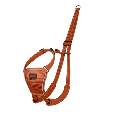 Arnés antitirada Non-Pull Harness para perros - naranja: Talla M (p. ej. retriever, border collie) Arnés antitirada Non-Pull Harness para perros - naranja: Talla M (p. ej. retriever, border collie)