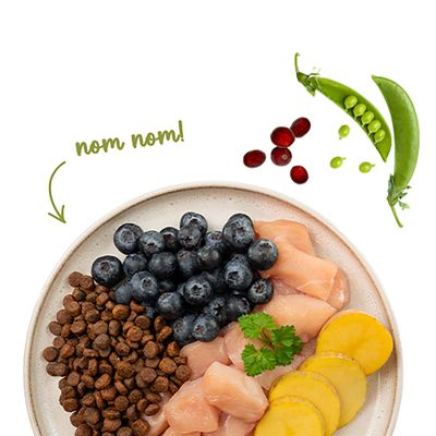 Sanabelle No Grain Huhn & Blaubeeren, Rezeptur ohne Getreide, mit frischem Huhn. Für ausgewachsene Samtpfoten. Verpackung mit Zutaten wie Blaubeeren und Kartoffeln abgebildet.