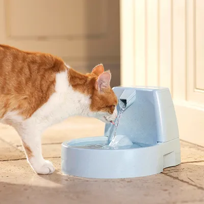 PetSafe® Drinkwell® Original drikkefontene