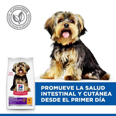 Hill's Science Plan Sensitive Stomach & Skin Adult 1+ Small & Mini con pollo - 6 kg