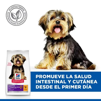 Hill's Science Plan Sensitive Stomach & Skin Adult 1+ Small & Mini con pollo - 6 kg