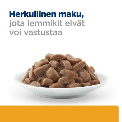 Kulhollinen ruskeita lihapaloja kastikkeessa. Teksti: Herkullinen maku, jota lemmikit eivät voi vastustaa.